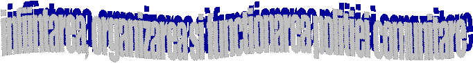 infiintarea, organizarea si functionarea politiei comunitare