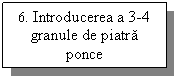 Text Box: 6. Introducerea a 3-4 granule de piatra ponce