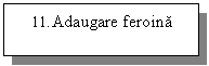 Text Box: 11.Adaugare feroina