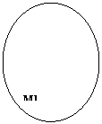 Oval: M1
