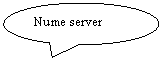 Oval Callout: Nume server