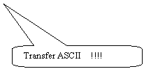 Rounded Rectangular Callout: Transfer ASCII    !!!!