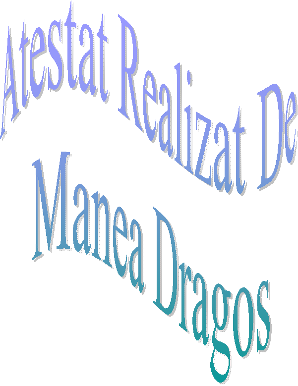 Atestat Realizat De 
Manea Dragos