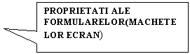 Rectangular Callout: PROPRIETATI ALE FORMULARELOR(MACHETELOR ECRAN)