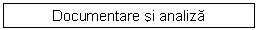 Text Box: Documentare si analiza