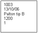 Text Box: 1003
13/10/06
Palton tip B
1200
1

