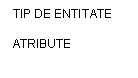 Text Box: TIP DE ENTITATE

ATRIBUTE
