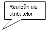 Rectangular Callout: Realizari ale atributelor