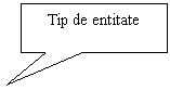 Rectangular Callout: Tip de entitate