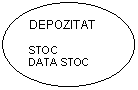 Oval: DEPOZITAT

STOC
DATA STOC
