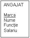 Text Box: ANGAJAT

Marca
Nume
Functie
Salariu 
