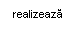 Text Box: realizeaza