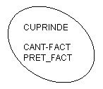 Oval: CUPRINDE

CANT-FACT
PRET_FACT
