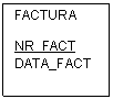 Text Box: FACTURA

NR_FACT
DATA_FACT
