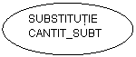 Oval: SUBSTITUŢIE
CANTIT_SUBT
