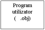 Text Box: Program utilizator
(   .obj)
