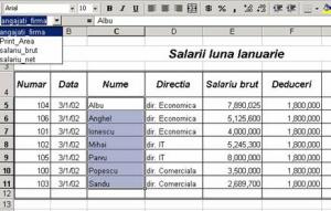 Utilizarea Domeniilor Denumite