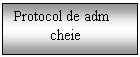 Text Box: Protocol de adm
          cheie
