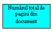 Text Box: Numarul total de pagini din document 