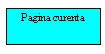 Text Box: Pagina curenta  