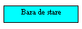 Text Box: Bara de stare  