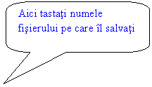 Rounded Rectangular Callout: Aici tastati numele fisierului pe care il salvati