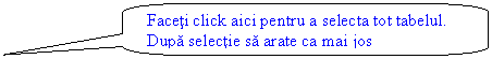 Rounded Rectangular Callout: Faceti click aici pentru a selecta tot tabelul. Dupa selectie sa arate ca mai jos