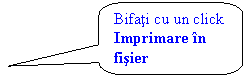 Rounded Rectangular Callout: Bifati cu un click Imprimare in fisier