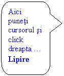 Rounded Rectangular Callout: Aici puneti cursorul si click dreapta  Lipire