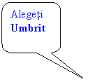 Rounded Rectangular Callout: Alegeti Umbrit