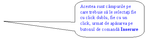 Rounded Rectangular Callout: Acestea sunt campurile pe care trebuie sa le selectati fie cu click dublu, fie cu un click, urmat de apasarea pe butonul de comanda Inserare