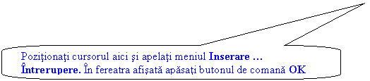 Rounded Rectangular Callout: Pozitionati cursorul aici si apelati meniul Inserare  Intrerupere. In fereatra afisata apasati butonul de comana OK