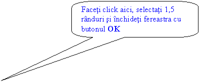 Rounded Rectangular Callout: Faceti click aici, selectati 1,5 randuri si inchideti fereastra cu butonul OK