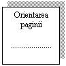 Text Box: Orientarea paginii

....................
