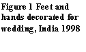 Text Box: Figure 12 Feet and hands decorated for wedding, India 1998