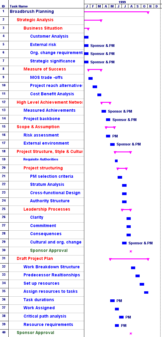 broadbrush project plan 2