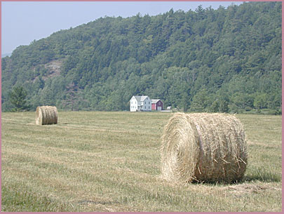 haybales.jpg (43569 bytes)