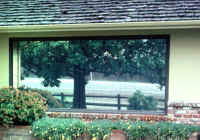 calif window.jpg (53074 bytes)