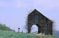 hairy barn.jpg (43877 bytes)