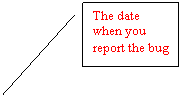 Line Callout 2: The date when you report the bug