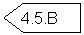 Pentagon: 4.5.B