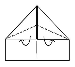 unfold, leaving crease - making Delty aeroplane