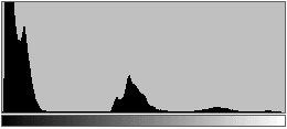 zion histogram.gif (3084 bytes)