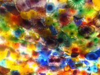 Hand Blown Glass Display by Dale Chihuly