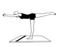 p133_ecapadasana2.jpg[9577 байт]