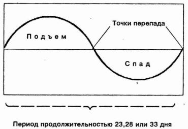 щелкните, и изображение увеличится