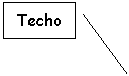 Line Callout 2: Techo