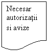 Flowchart: Document: Necesar autorizatii si avize 