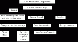 Caiet De Practica Management Financiar Contabil