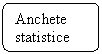 Flowchart: Alternate Process: Anchete statistice
 



